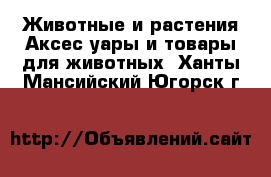 Животные и растения Аксесcуары и товары для животных. Ханты-Мансийский,Югорск г.